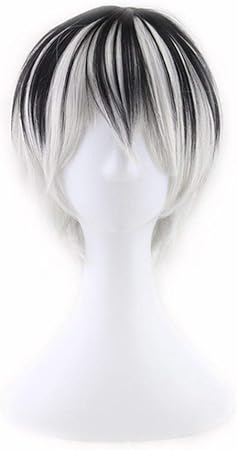 Amazon Bin Zhang メンズファッションのグラデーションカラーかつらかつら Color As Shown Bin Zhang ビューティー 通販