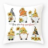 Fermeture éclair invisible : La housse de coussin est dotée d'une fermeture éclair invisible pour un confort d'utilisation optimal et une finition élégante. Grâce à cette fermeture, insérer et retirer le coussin se fait en toute simplicité.