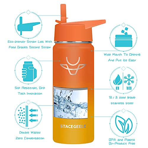 Stacegeele Insulated Vacuum Water Bottle For Kids With Straw Lid Stainless Steel Flask Thermos For Boys And Girls Leak Proof Lightweight Eco Friendly 18Oz(550Ml), Orangeade #TOP2