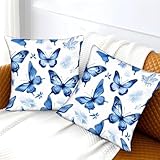Zoom IMG-2 emyxpaqm butterfly copricuscini blue white Zoom IMG-2 emyxpaqm butterfly copricuscini blue white