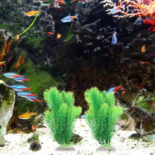 KAILIKETIY lH p tFCNA ٗpAfUC ^RpNg CAEg 2Zbg