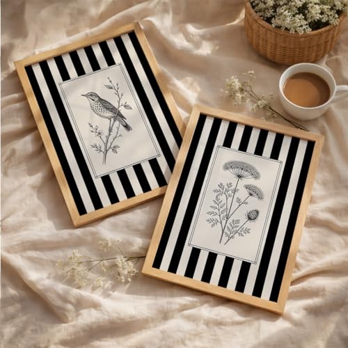 Image of Vintage Black White Wall Art Frames for Living Room Bedroom - Minimalist Botanical & Bird Stripe Wall Painting Set | Modern Aesthetic Monochrome Home Wall Decor with Wooden Frame (Art 11, 10x13 Inches)