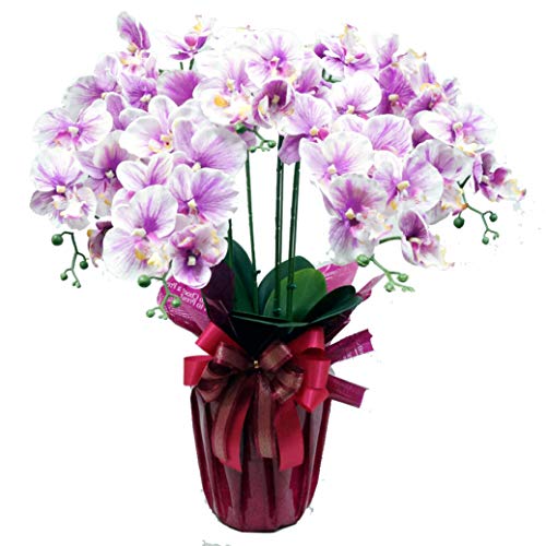 G} Ӓ  5{ (bh/p[v) 䏸i a j VNt[ Vzj JXj R`E Mtg v[g