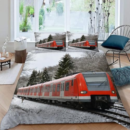 MOXINO 3D Zug Bettwäsche 155x220 cm 3teilig Zug Bettwäsche für Teenager Leicht Mikrofaser Bettbezug Sommer Weiche Bettbezüge mit 2 Kissenbezüge 50x75（Muster 66-16）