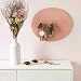 XHXSTORE Flores Secas Naturales Rosas Ramo Flores Gypsophila y Margarita para 0ficina...