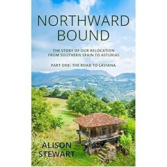 Northward Bound - The Story of Our Relocation from Southern Spain to Asturias Audiolibro Por Alison Stewart arte de portada