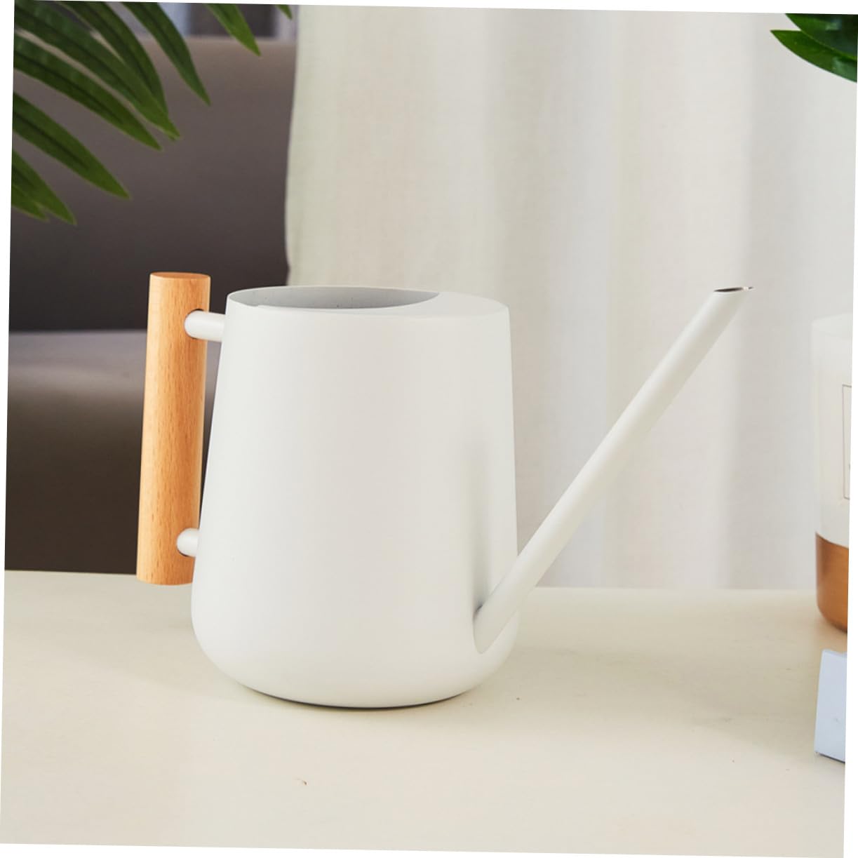 ibasenice Arrosoir pour Plantes D'intérieur à Long Bec Arrosoir Intérieur pour Plantes Vertes