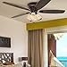 Honeywell Ceiling Fans Glen Alden, 52 Inch Classic Flush Mount Indoor LED Ceiling Fan with Light, Pull Chain, Quick-2-Hang Dual Finish Blades, Reversible Motor - 50183 (Oil Rubbed Bronze)