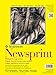 Strathmore STR-307-809 50 Sheet Rough Newsprint Pad, 9 by 12"