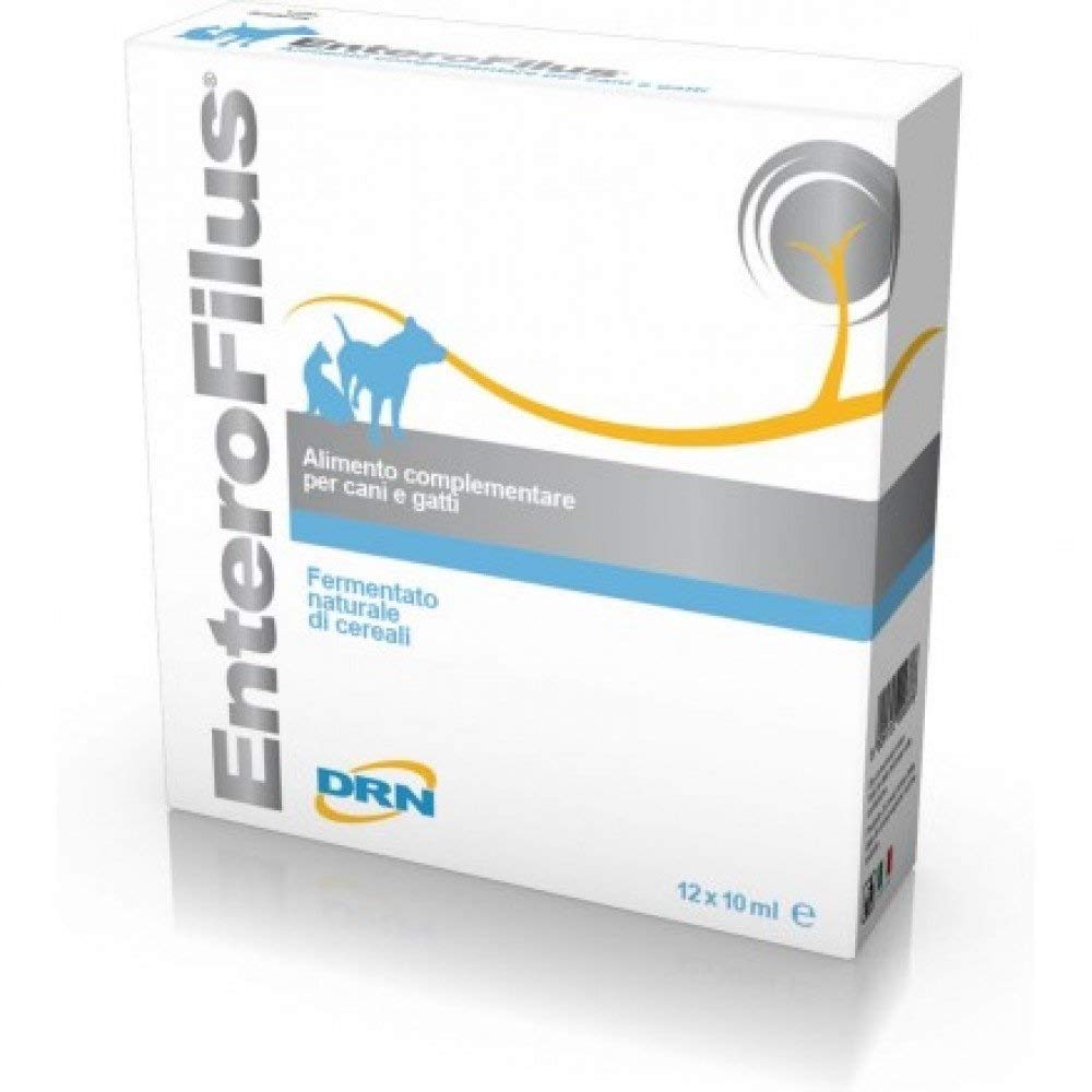DRN INTEGRATORE Alimentare Veterinario in FIALE 12X10 ML ENTEROFILUS