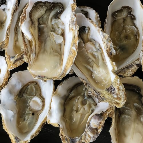 y Hp  kt y 2kg  VN Ί { Yn CN o[xL[ H Ăy L œKȈێ挹 ΘJӂ̓ ubNtCf[