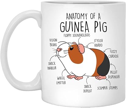 Guinea Pig Coffee Mug, Funny Guinea Pig Lover Gift, Cavy Cup, Gift For Her, Him, Birthday, Friend, Cavies, Cute Pet Animal, Anatomy, Mom Dad 11oz