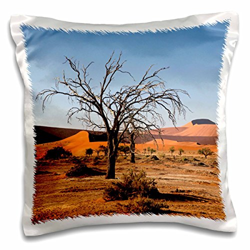 Danita Delimont - Deserts - Namibia, Sossusvlei