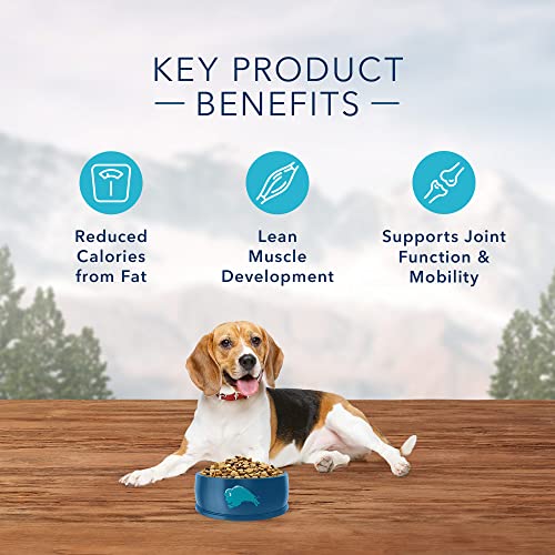 Image of Blue Buffalo Wilderness with Chicken High Protein Healthy Weight Dry Dog Food for Adult Dogs, 30% Protein, Supports Immunity With Antioxidant-Rich LifeSource Bits, 24 lbs.