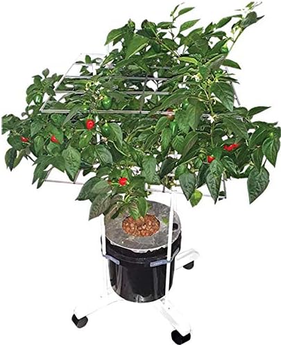 P Scrog Pro Portable 2 Screen Kit (Exceptional Value 6 Pack, Save 15%)