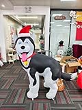 OurWarm 5FT Christams Inflatables Outdoor Decorations Husky, Funny Christmas Blow Up Yard Decorations with LED Lights for Yard Lawn Xmas Decor