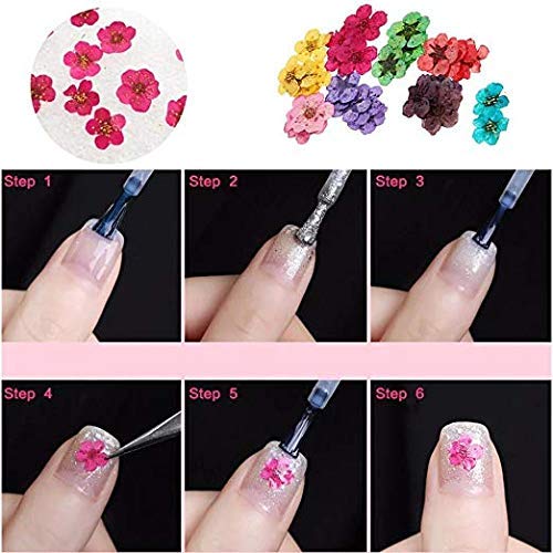 Changar CHAN-314 Dried Flowers For Nail Art Changar Mini Real Natural Dry Flowers Sticker Decals Small Tiny Dried Flowers Five Petal Flower Resin Nail Art Supplies Decoration thumb #5