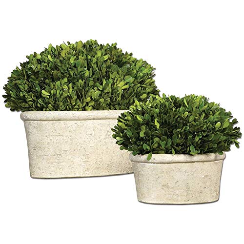 BOWERY HILL Preserved Boxwood 2 Piece Oval Dome Set in Mossy Stone