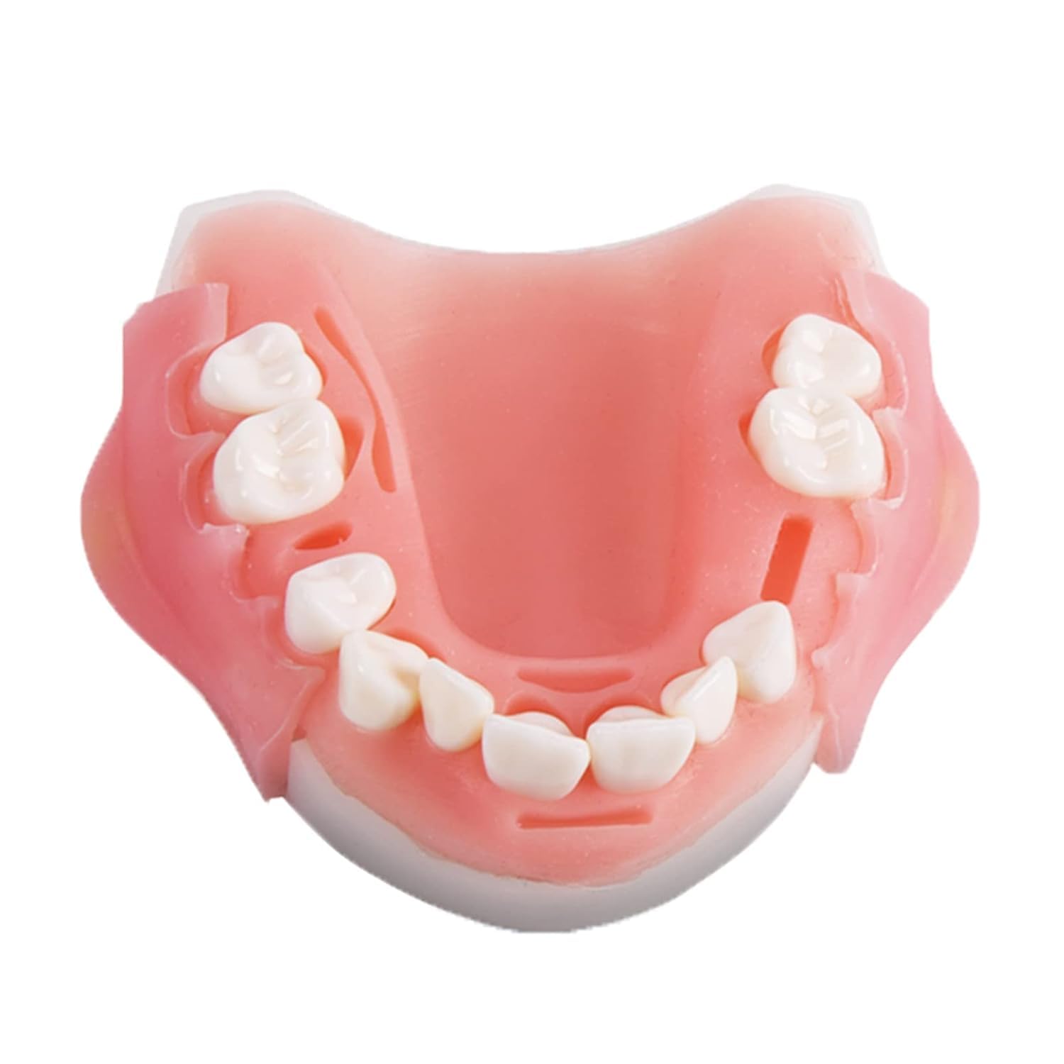 Simulatore di addestramento for denti dentali orali umani, modello, strumento di pratica di sutura, modulo in silicone, denti, gengive, cuscinetto parodontale(Upper Jaw)