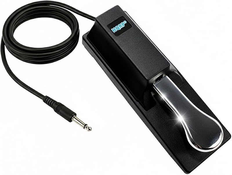 Sustain Pedal for Keyboard, 6.5 ft Cord, Universal 1/4'' Plug, Polarity Switch, Compatible with Casio Digital Pianos, MIDI & Synths