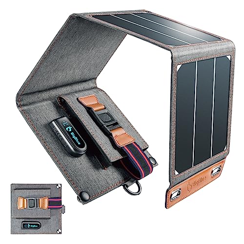 BigBlue Panneau Solaire Portable 14W