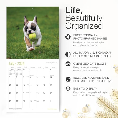 Image of RED EMBER French Bulldog Puppies 2026 Wall Calendar 12 Month | 12 inch x 24 inch Open | Thick & Sturdy Paper | Giftable | Cute Frenchie Puppy Dog Calendar 2026