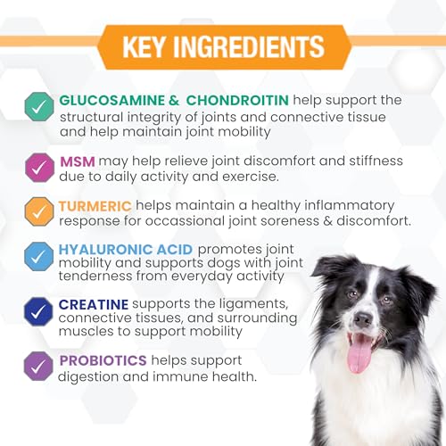 Image of Progility Hip & Joint Supplement for Dogs - Daily Joint Support with Glucosamine, MSM, Chondroitin & Hyaluronic Acid, Soft Chews Value Pack (250 Count)