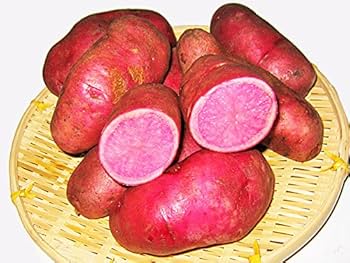 Amazon.co.jp: 北海道剣淵産カラフルじゃがいも3種セット（各2Kg