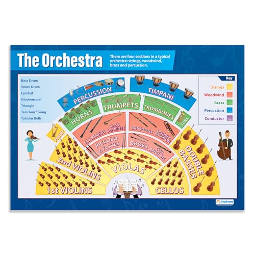 Daydream Education The Orchestra Classroom Poster - EXTRA LARGE 33” x 23.5” - Gloss Paper - Music Middle & High Class Decoration - Wall Charts