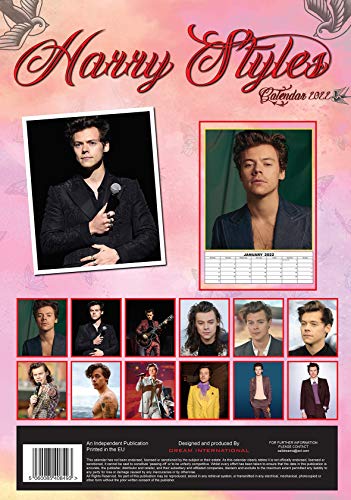 Harry Styles 2022 Kalender: Kalender van 12 maanden 2022 met Harry Styles Koelkastmagneet - Image 3