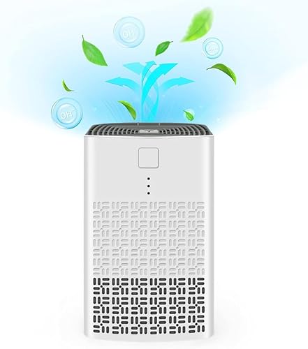 Purificadores de aire para dormitorio y hogar, EXECCZO H13 True HEPA Filter Purificadores de aire para escritorio, oficina, automóvil, mascotas con