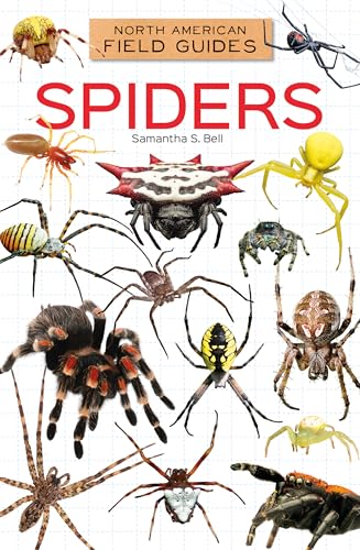 Spiders (North American Field Guides Set 4)