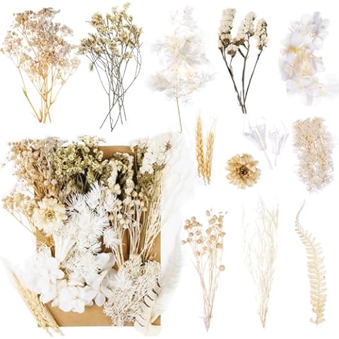 Fleurs Séchées Naturelles Jewan Cover