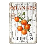 Letrero de lata de frutas de verano, naranja natural, placa de metal para decoración de frutas de verano, pintura de hierro, letrero personalizado y elegante, cartel de pared para sala de estar