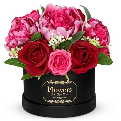 Villa Como  ԑ [Y o O A[gt[ u[P  ͂Ȃ ̓ a Ǝ LO zCgf[ VN NX}X 搶̓ v[g  {bNX (ubN)