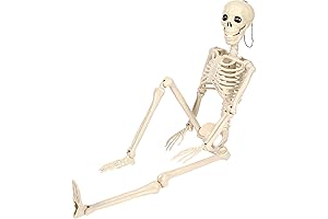 36.6 Inches Poseable Life Size Skeleton