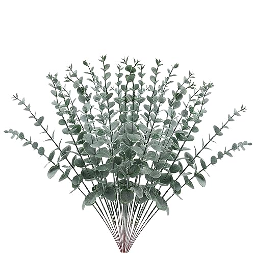 m[uhi 12 s[X/ZbgCӂ̉Y - ʂ ̐lHȂ, [ΐF̑