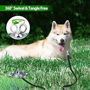 Dog Tie Out Cable and Stake, 360° Swivel Dog Stake with 30FT Nylon Cable and 6 Stainless Steel Screw Anchors, No Tangle Heavy Duty Dog Runner for Large Dogs Up to 150LBS for Yard Park Outdoor Camping Dog Tie Out Cable and Stake, 360° Swivel Dog Stake with 30FT Nylon Cable and 6 Stainless Steel Screw Anchors, No Tangle Heavy Duty Dog Runner for Large Dogs Up to 150LBS for Yard Park Outdoor Camping