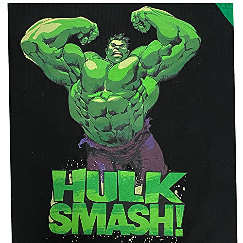 Mad Engine Incredible Hulk Toddler & Little Boys Tee Shirt2