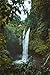 OKOUNOKO Puzzle 1000 Piezas, Cascada Vertical del Paisaje, Decoración para El Juego De Juguetes para El Hogar, 75X50Cm