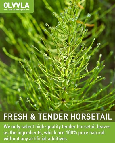 Image of Olvvla - Premium Horsetail Tea Bags - 1.5g X 40 Count - Pure Natural Horsetail Herbal Tea - Caffeine-free - Non-GMO - Dried Horsetail Herb - Rich in Antioxidants & Support Bone Health