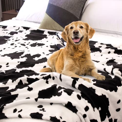 Cow Print Blanket Twin Size Plush Fleece Fuzzy Lightweight Warm Cow Blanket Soft Microfiber Flannel Cozy Cow Print Throw Blanket Couch Bed Sofa All Seasons 60 X 80 In Black And White Cow Gift #TOP5