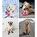 Dog Snow Hundeschuhe Winter,4 Stück Stiefel für Hunde,Schneestiefel Hunde,Geeignet für Kleine Und Mittelgroße Hunde, Rutschfest Und Warm, für Outdoor-Aktivitäten Geeignet, Waschbar (S, Schwarz)