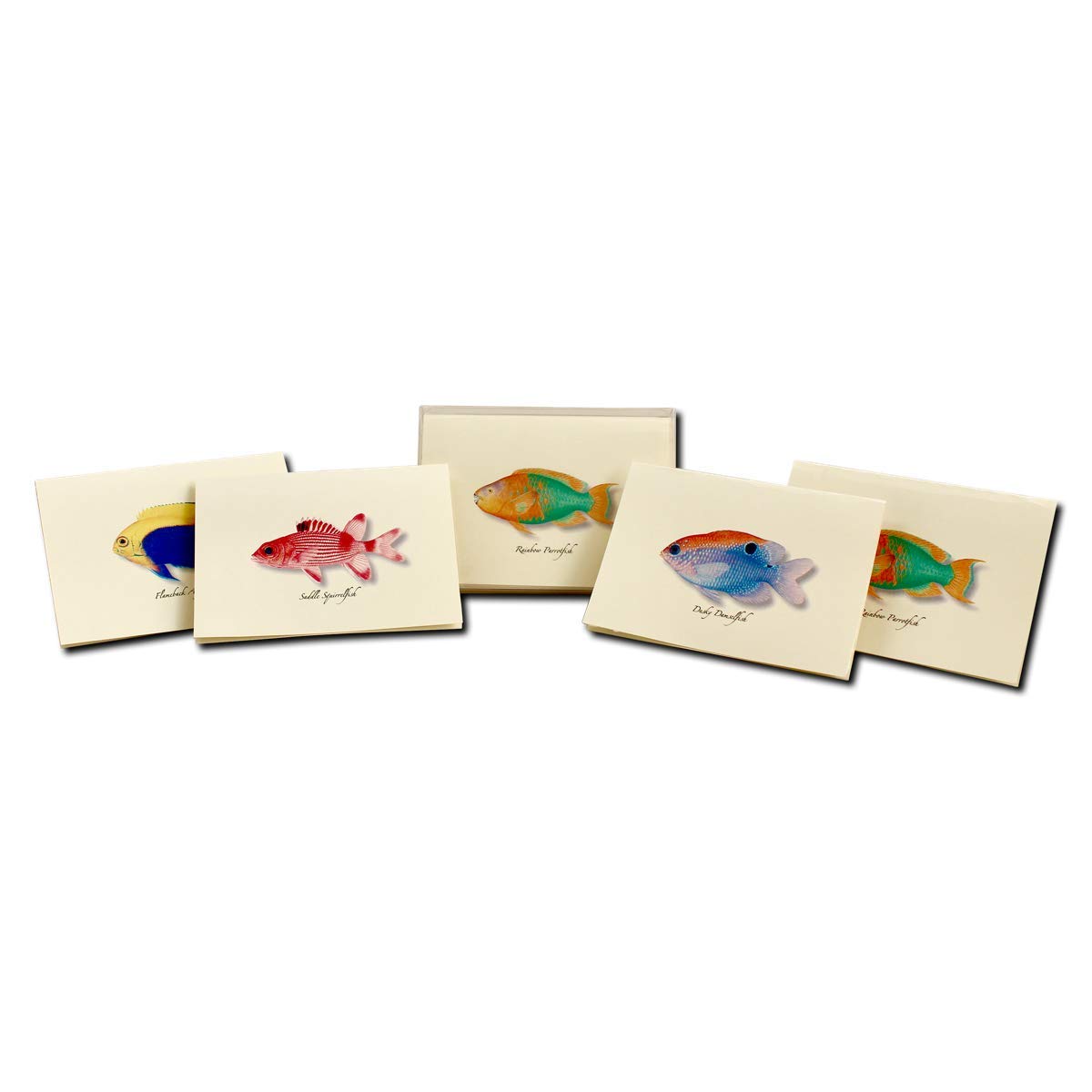 Earth Sky + Water Saltwater Fish Notecard Set - 8 Blank Cards With Envelopes (4 Each Of 2 Styles)