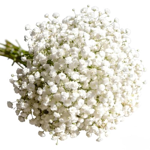 Plumaire 30Pcs Artificial Gypsophila Flowers Realistic Faux Baby Breath Bouquets Real Touch Fake White Flowers That Look Real for Wedding Party & Home Floral Arrangements Decor
