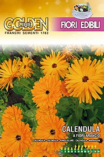 SEMI DI CALENDULA A FIOR D'ARANCIO - FRANCHI SEMENTI - SEMENTI SELEZIONATE GLFE 309/4 BUSTINA GR 4