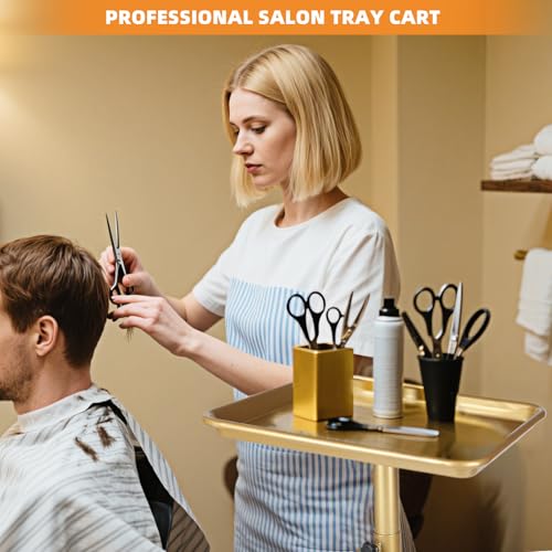 Image of Salon Senor Salon Tray on Wheels Tattoo Rolling Tray Salon Service Cart Height Adjustble Hair Service Color Tray Gold