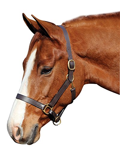 Henri de Rivel Advantage Leather Halter - Size:Horse Color:Havana