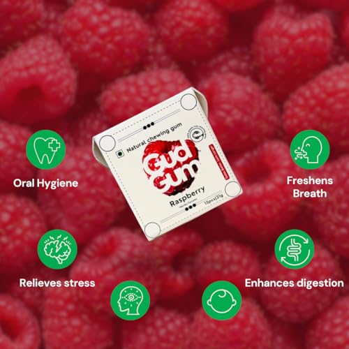 Image of Gud Gum- Natural, Plastic Free Chewing Gum -21g x 2 - Mini Pack of 2 - No added artificial colours, flavours & sweeteners (2 Pack, Strawberry - Raspberry)