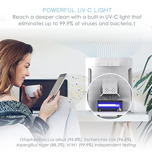 True HEPA Air Purifier for Allergies